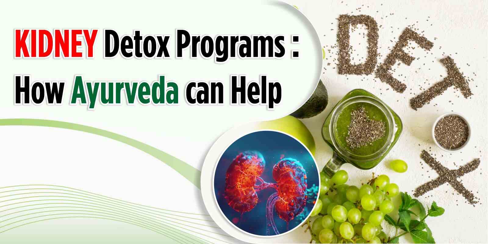 Kidney Detox Programs